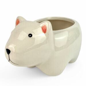 Paul Polar Bear Ceramic Animal Planter Grow Kit Perfect for Succulents